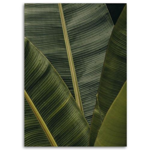 Tableau Bois Banane Plante Exotique 40 X 60 Cm Vert