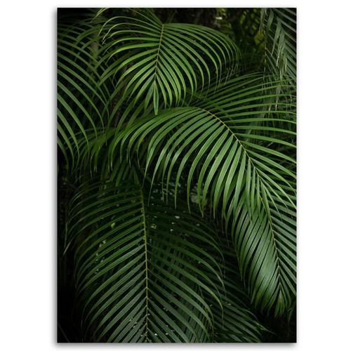 Tableau Feuilles De Palmier Vertes 50 X 70 Cm Vert