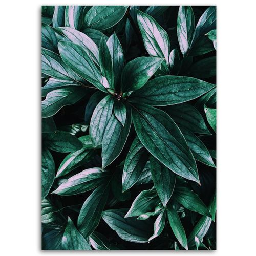 Tableau Feuilles De Plantes Tropicales 60 X 90 Cm Vert