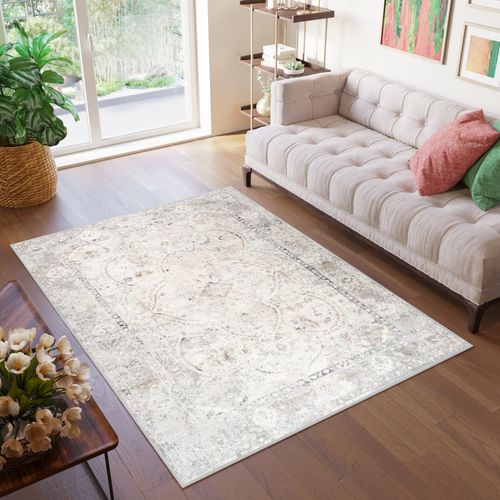 Tapis Salon Vintage Beige Gris Crème Bordé 200x300 Valley