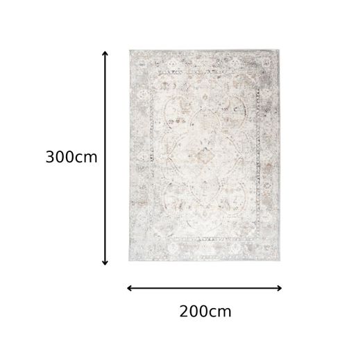 Tapis Salon Vintage Beige Gris Crème Bordé 200x300 Valley
