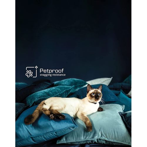 Lit Boxspring 200x200 Cm City Avec Matelas Ressorts Intégrés, Rangement, Surmatelas En Velours Noir
