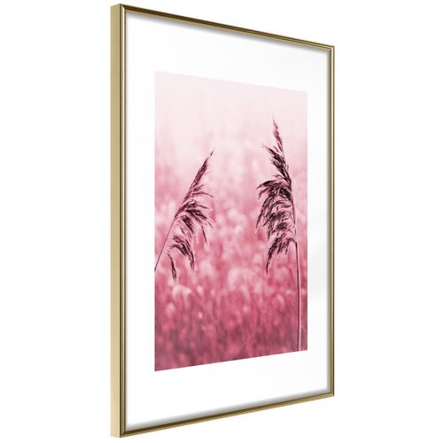 Affiche Murale Encadrée "amaranth Meadow" 21 X 30 Cm Doré