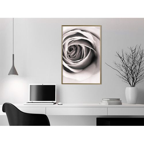 Affiche Murale Encadrée "structure Of Petals" 40 X 60 Cm Doré