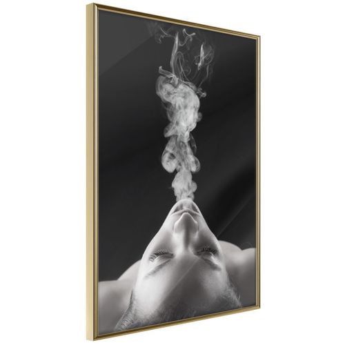 Affiche Murale Encadrée "feminine Coquetry" 40 X 60 Cm Doré