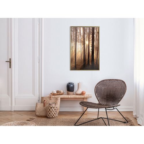 Affiche Murale Encadrée "morning In The Forest" 40 X 60 Cm Doré