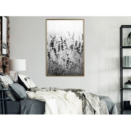 Affiche Murale Encadrée "shadow Of Meadow" 40 X 60 Cm Doré