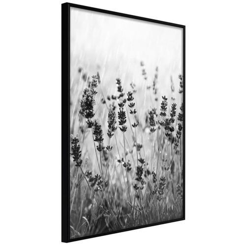 Affiche Murale Encadrée "shadow Of Meadow" 30 X 42 Cm Noir