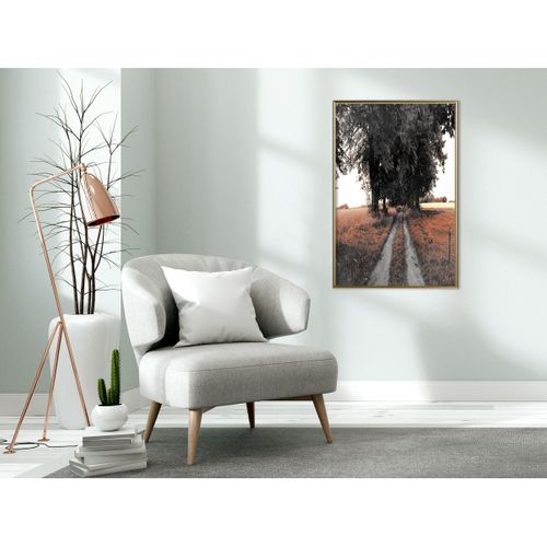 Affiche Murale Encadrée "field Path" 40 X 60 Cm Doré