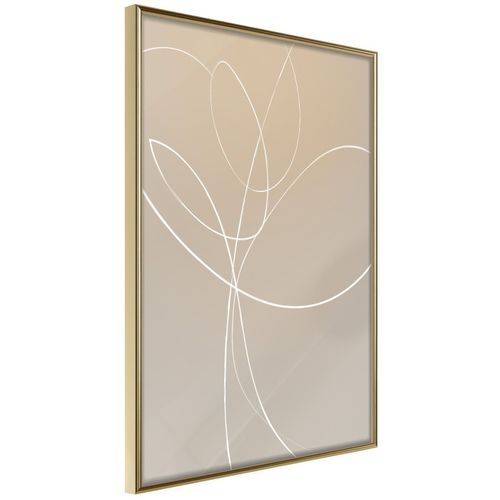 Affiche Murale Encadrée "white Tulip" 21 X 30 Cm Doré