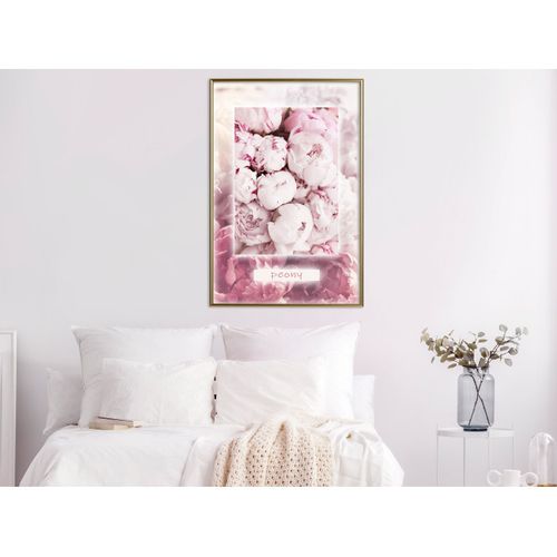 Affiche Murale Encadrée "scent Of Peonies" 40 X 60 Cm Doré