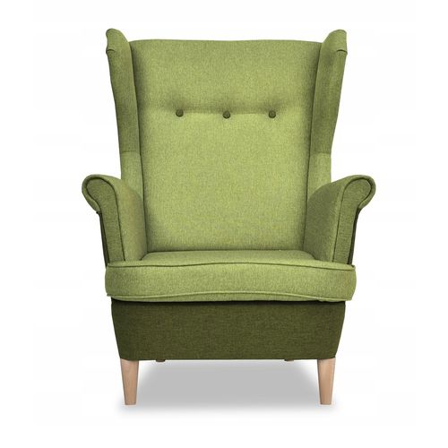 Fauteuil Scandinave à Oreilles Ari Duo, Vert Céladon