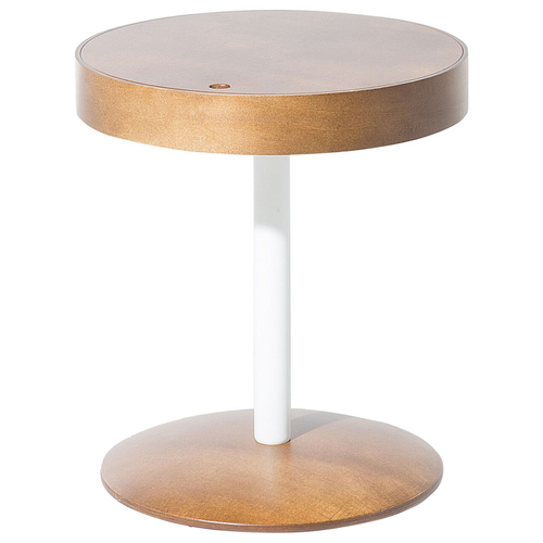 Table Basse - Table De Salon Oregon Marron