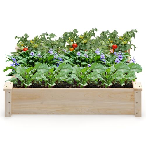 Jardinière Surélevée Carré Base Ouverte 120x61x25,5cm Pour Culture Fruits Légumes Bois De Sapin