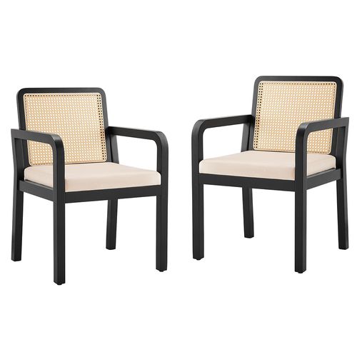 Chaises De Salle à Manger (2 Pièces), Revêtement En Velours, Dossier En Rotin Tressé, Noir