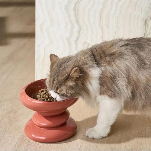 Gamelle Pour Chat, Inclinaison 15°, Pour Chats Et Chiots, Bol à Friandises, Facile à Nettoyer