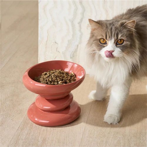 Gamelle Pour Chat, Inclinaison 15°, Pour Chats Et Chiots, Bol à Friandises, Facile à Nettoyer