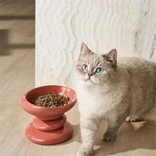 Gamelle Pour Chat, Inclinaison 15°, Pour Chats Et Chiots, Bol à Friandises, Facile à Nettoyer