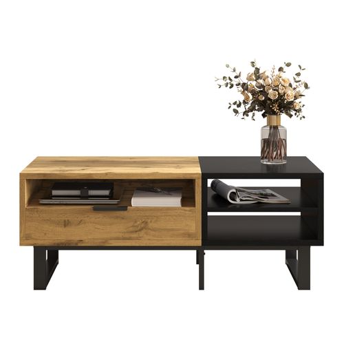 Table Basse Table De Salon - 100x50x40cm Bois Panneaux De Particules