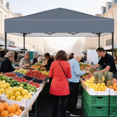 Tonnelle De Jardin 365 X 225cm Tente Pliable Portable Avec Sac De Transport 9 Piquets 4 Cordes