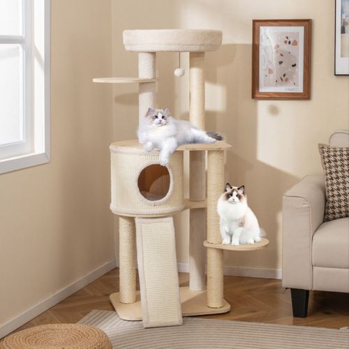 Arbre à Chat De 56cm Tour Pour Chaton En Bois Avec 2 Colonnes à Griffer En Sisal et Tapis et Échelle
