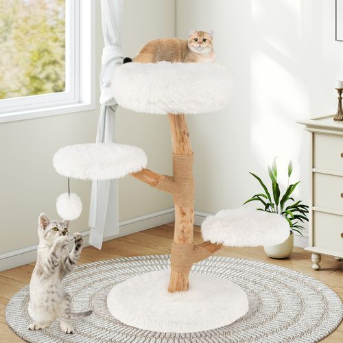 Arbre à Chat De 90cm Tour Pour Chat En Bois Massif De Poirier Avec Perchoir Centre D'activités