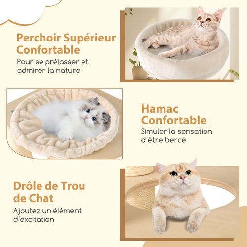 Arbre à Chats 151cm Tour Avec Condo à 2 Étages Poteaux Et Tapis De Sisal Pour Griffer Perchoir