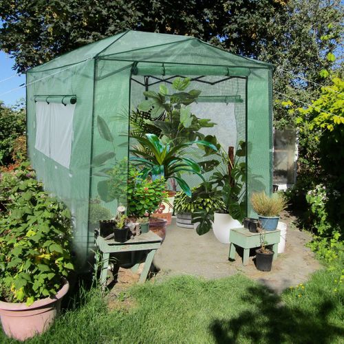 Serre De Jardin Portable Avec 2 Larges Fenêtres Pour Plantes Porte Enroulable à Double 180x250cm