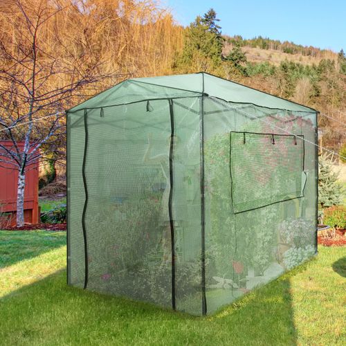 Serre De Jardin Portable Avec 2 Larges Fenêtres Pour Plantes Porte Enroulable à Double 180x250cm
