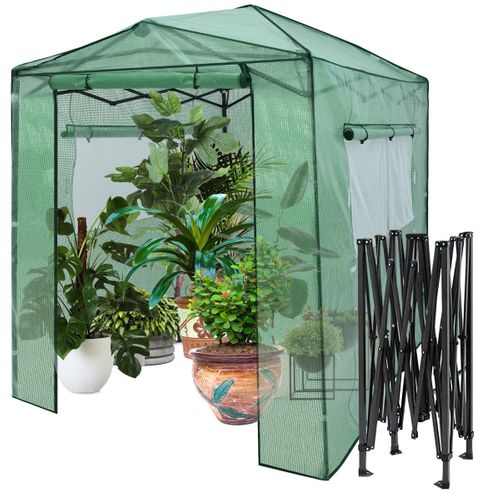 Serre De Jardin Portable Avec 2 Larges Fenêtres Pour Plantes Porte Enroulable à Double 180x250cm