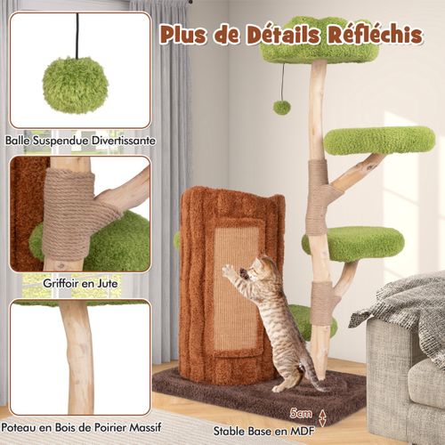 Arbre à Chat à Plusieurs Niveaux Tour Pour Chat à 2 Etages Poteaux à Gratter En Sisal Perchoir