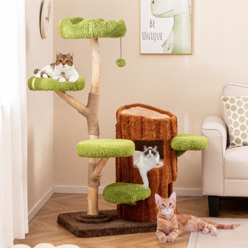 Arbre à Chat à Plusieurs Niveaux Tour Pour Chat à 2 Etages Poteaux à Gratter En Sisal Perchoir