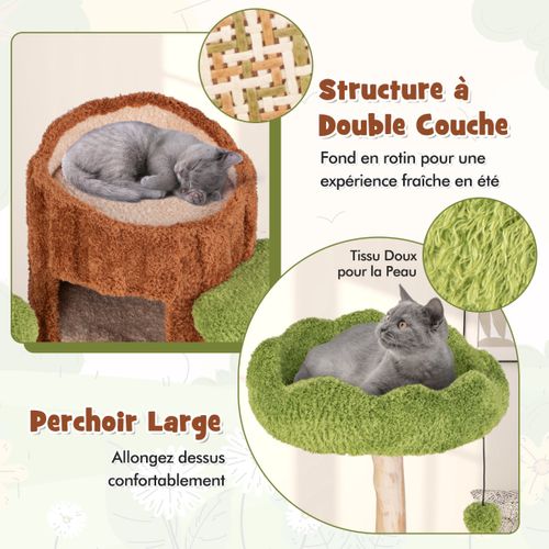 Arbre à Chat à Plusieurs Niveaux Tour Pour Chat à 2 Etages Poteaux à Gratter En Sisal Perchoir