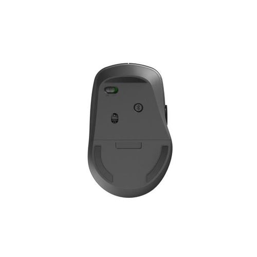 Souris - Sans Fil - M300 Silent - Noir