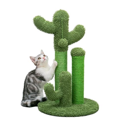 Arbre à Chat Cactus Lot De 3 Vert (m)