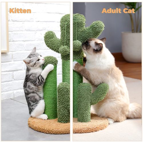 Arbre à Chat Cactus Lot De 3 Vert (xl)