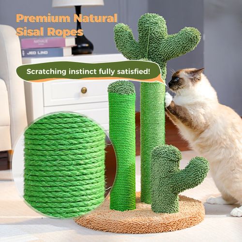 Arbre à Chat Cactus Lot De 3 Vert (xl)