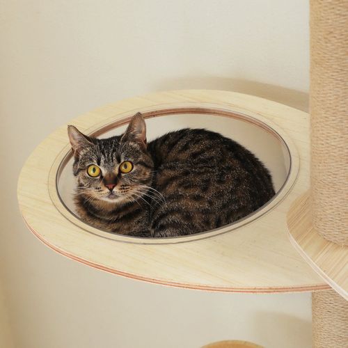 Arbre à Chat Du Sol Au Plafond Poteaux XXL 200-261 Cm Beige