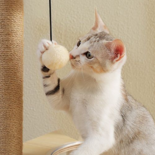 Arbre à Chat Du Sol Au Plafond Poteaux XXL 200-261 Cm Beige