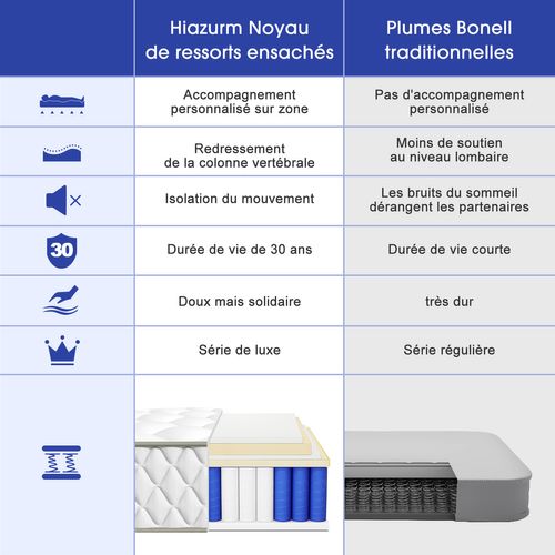 Matelas Ressorts 160×200 Cm, 7 Zones, Accueil Mémoire De Forme Epaisseur 22 Cm