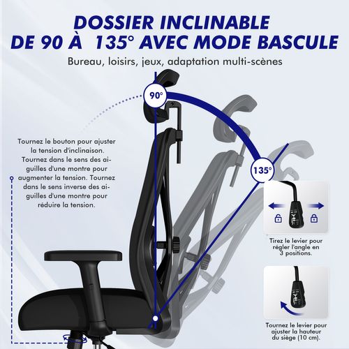 Fauteuil De Bureau Inclinable Multi-réglables Charge 150kg Soutien Lombaire, Accoudoirs, Appui-tête