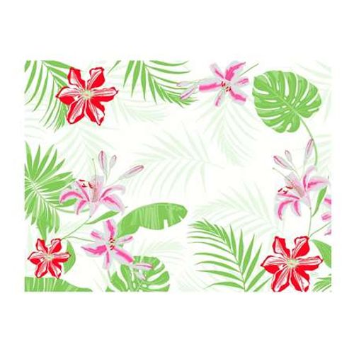 Set De Table Jetable 30x40 Cm Tropiocal - Lot De 2 Colis De 1000 - Sarl