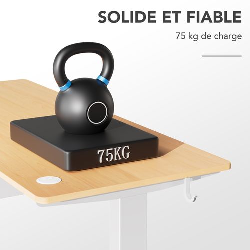 Bureau Assis Debout 60 X 110 Cm, Fonction Mémoire Et Anti-collision,bureau Réglable 70-117cm