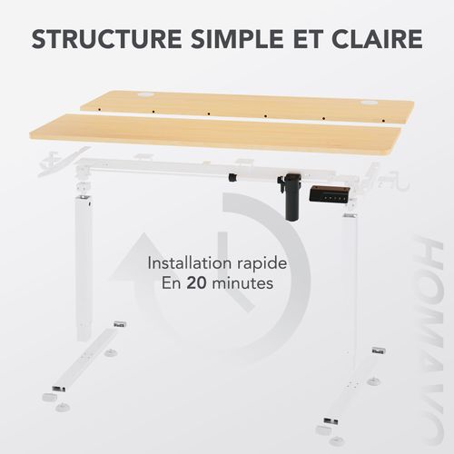 Bureau Assis Debout 60 X 110 Cm, Fonction Mémoire Et Anti-collision,bureau Réglable 70-117cm