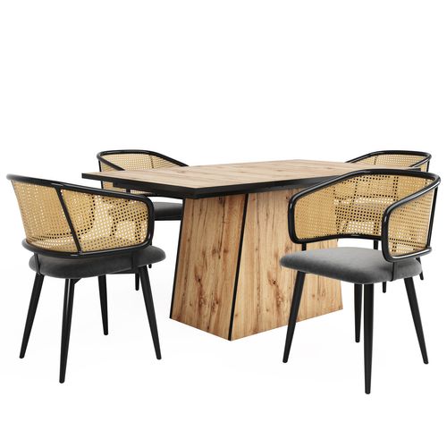 Chaises Salle à Manger Rotin Et Velours 4 Pièces Coussin Doux, Style Moderne Et Aéré