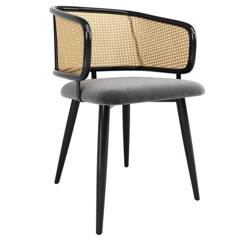 Chaises Salle à Manger Rotin Et Velours 4 Pièces Coussin Doux, Style Moderne Et Aéré