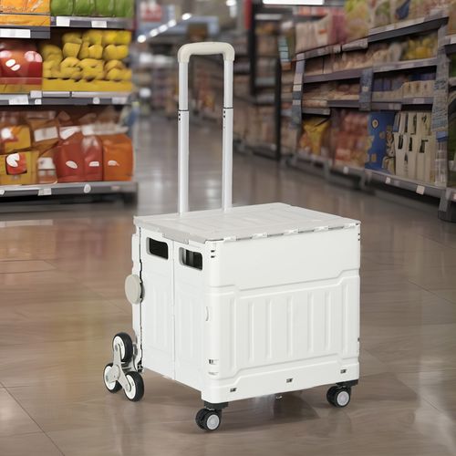 Caddie Pliable Avec Poignée Réglable Et Couvercle, Monte-escalier 80 Kg, , Blanc