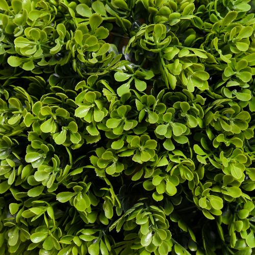 Buis Artificiel 90 Cm Avec Pot, Plante Décorative Avec Protection Uv, Vert Clair