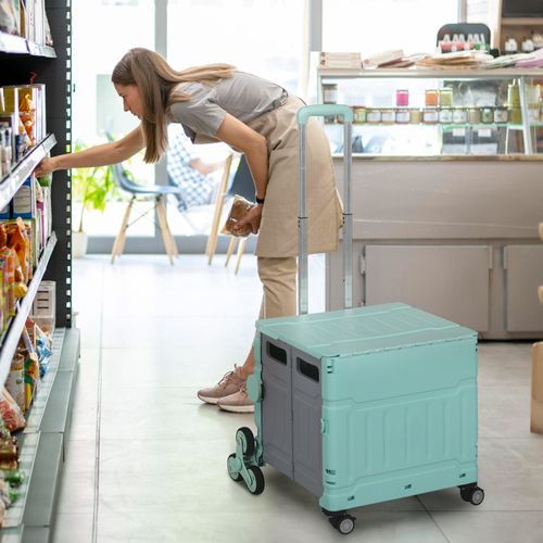 Caddie Pliable 80 Kg Avec Poignée Télescopique Et Couvercle, , Vert