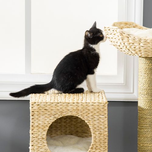 Arbre à Chat En Bois Naturel 100,5 Cm Avec Cachette, Coussin Et Colonnes En Sisal